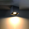 Noctarys model