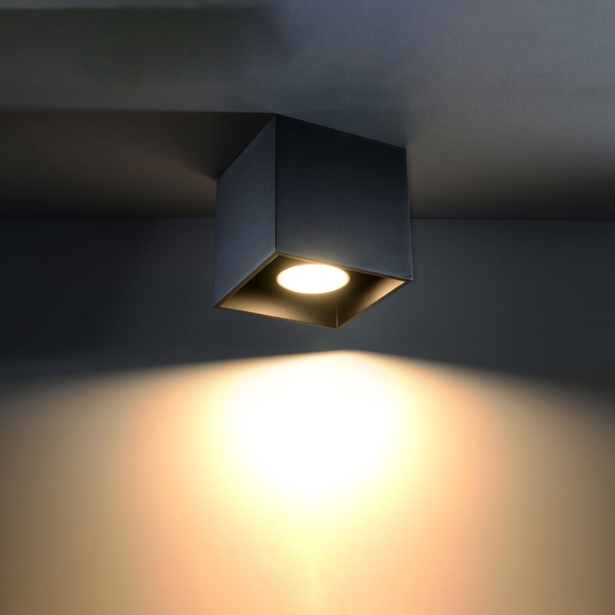 Noctarys model