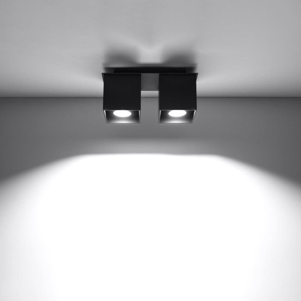 Noctarys model