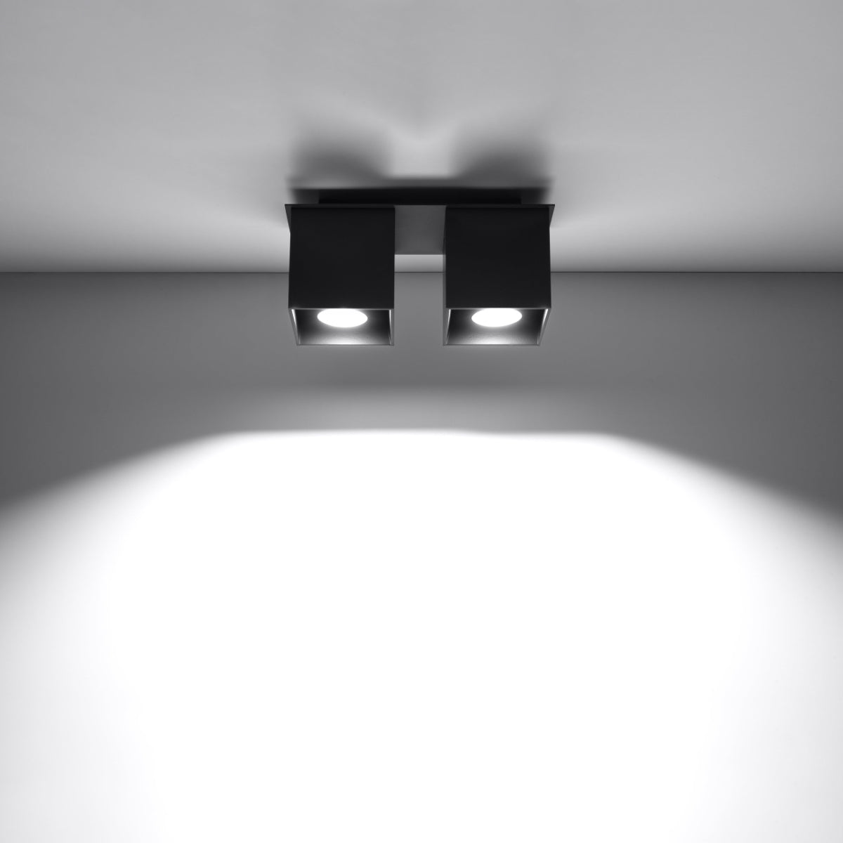 Noctarys model