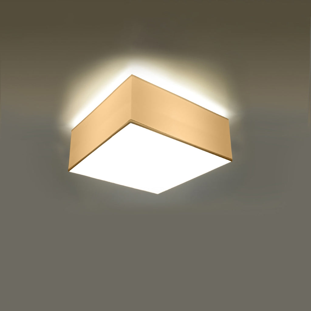 Model Asterion