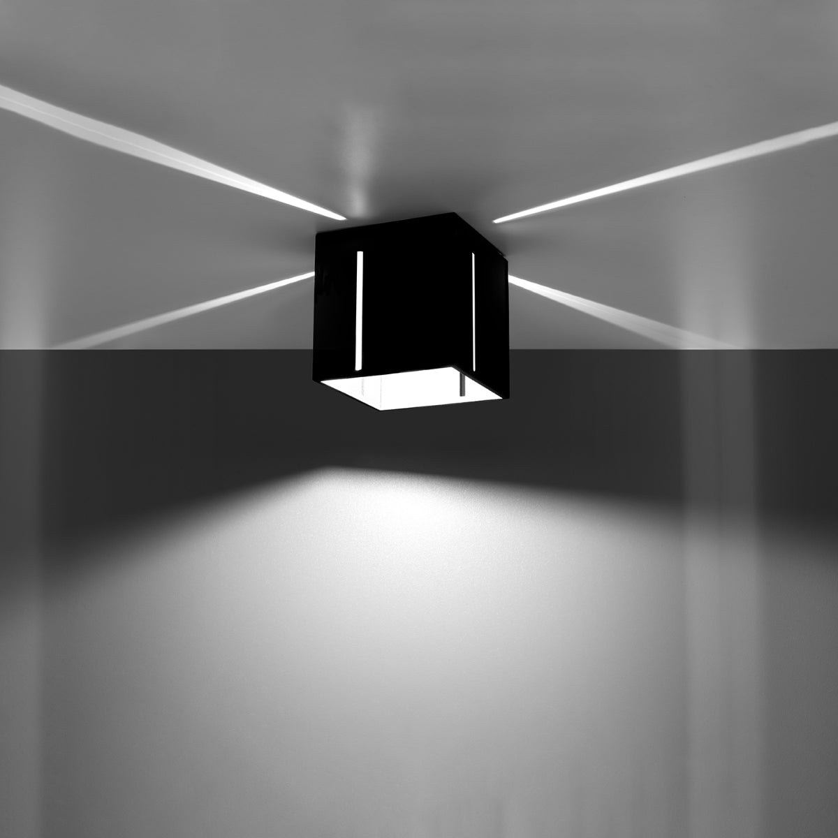 Orphéa model