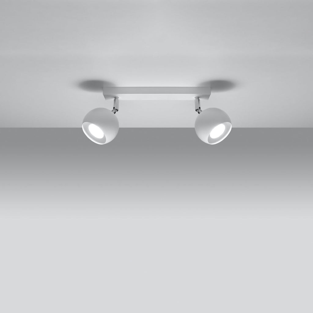 Model Asterion