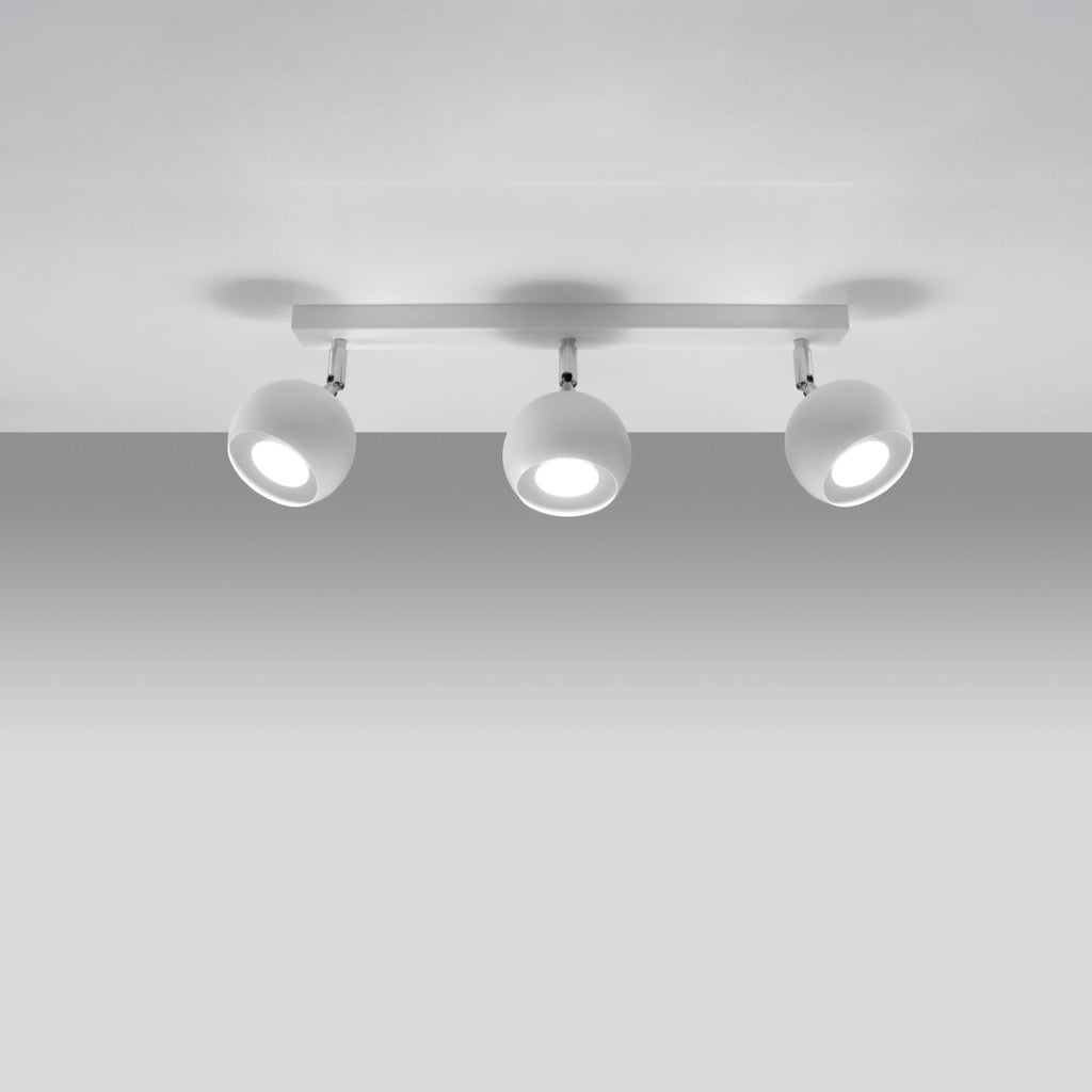Oracella model