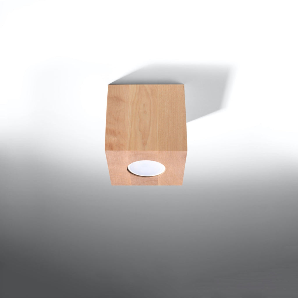 Norvane model