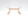 Nørvian model