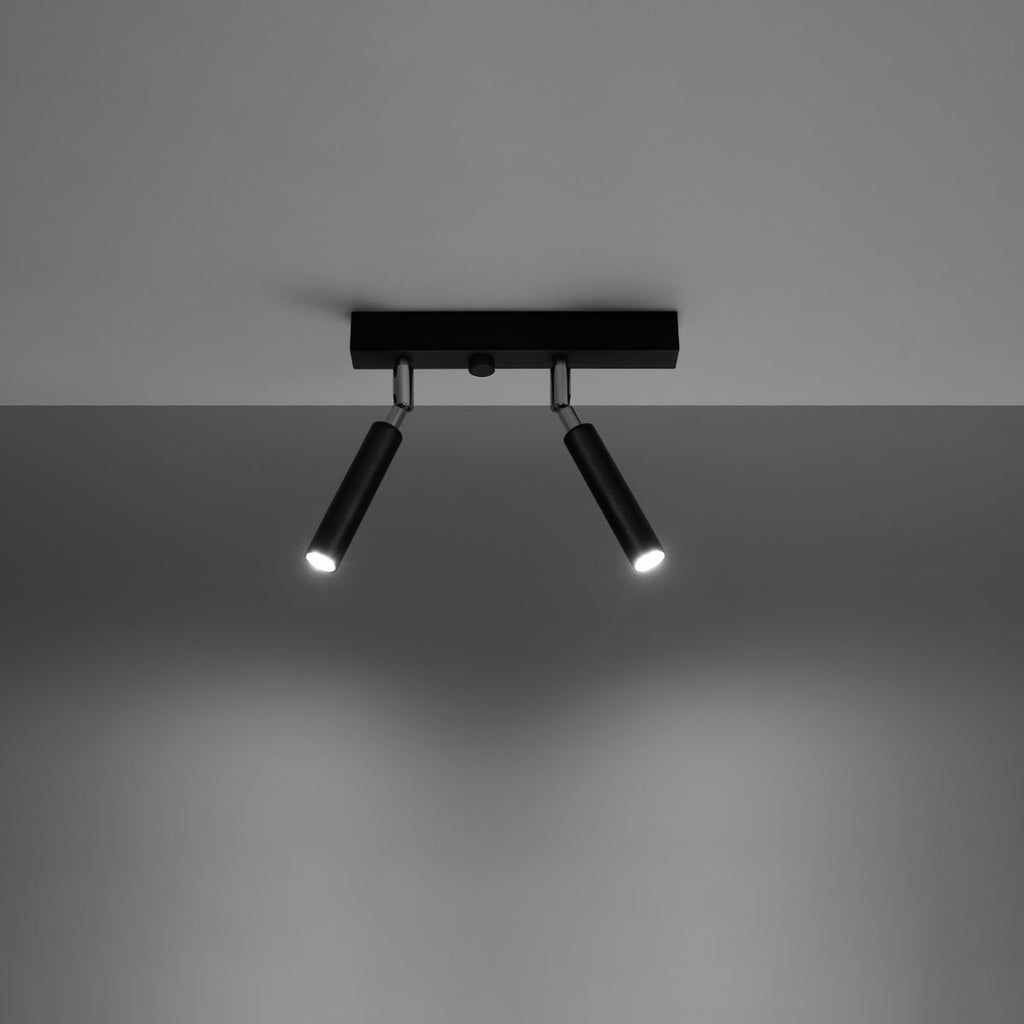 Noxeris model