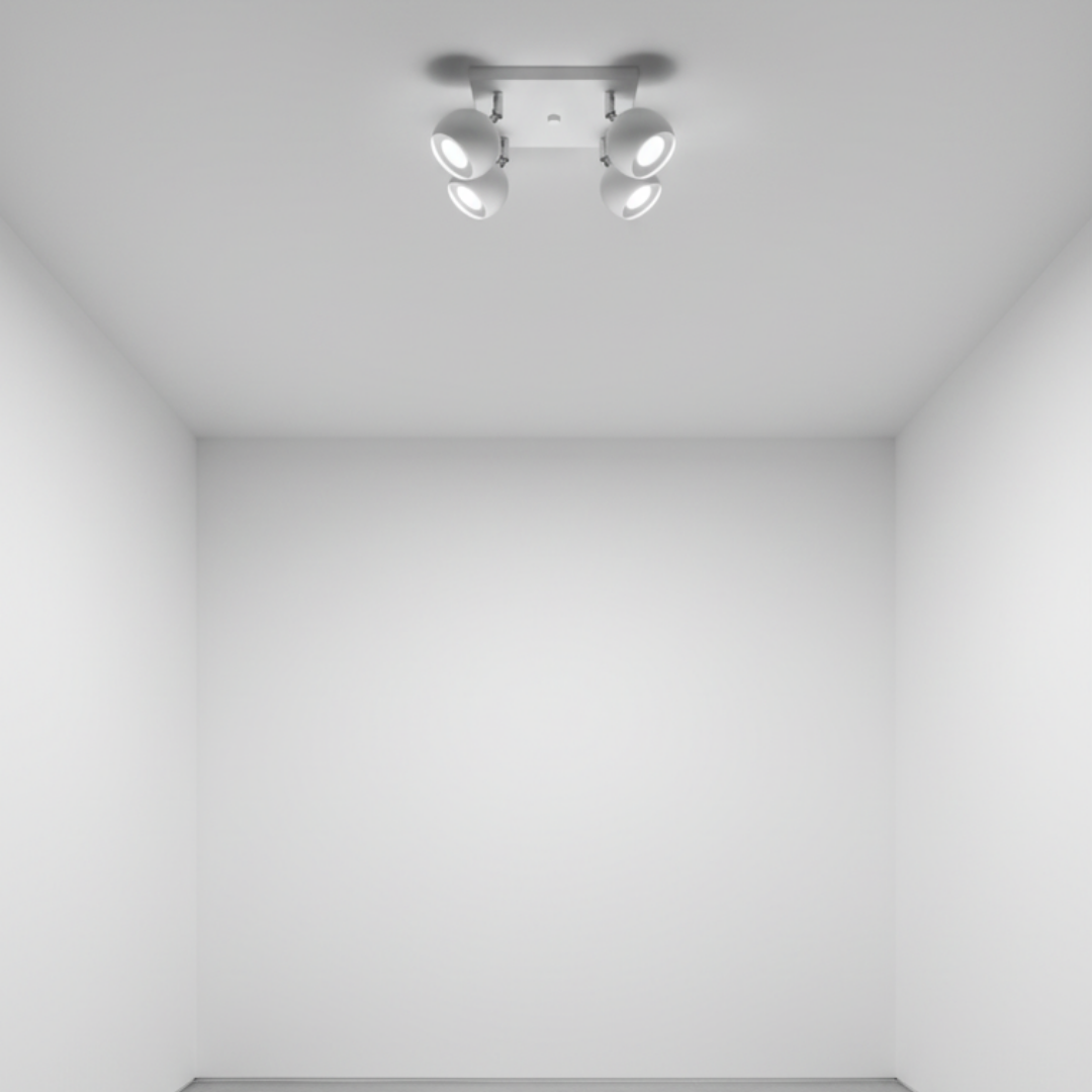 Arionys model